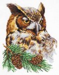 (image for) Owl